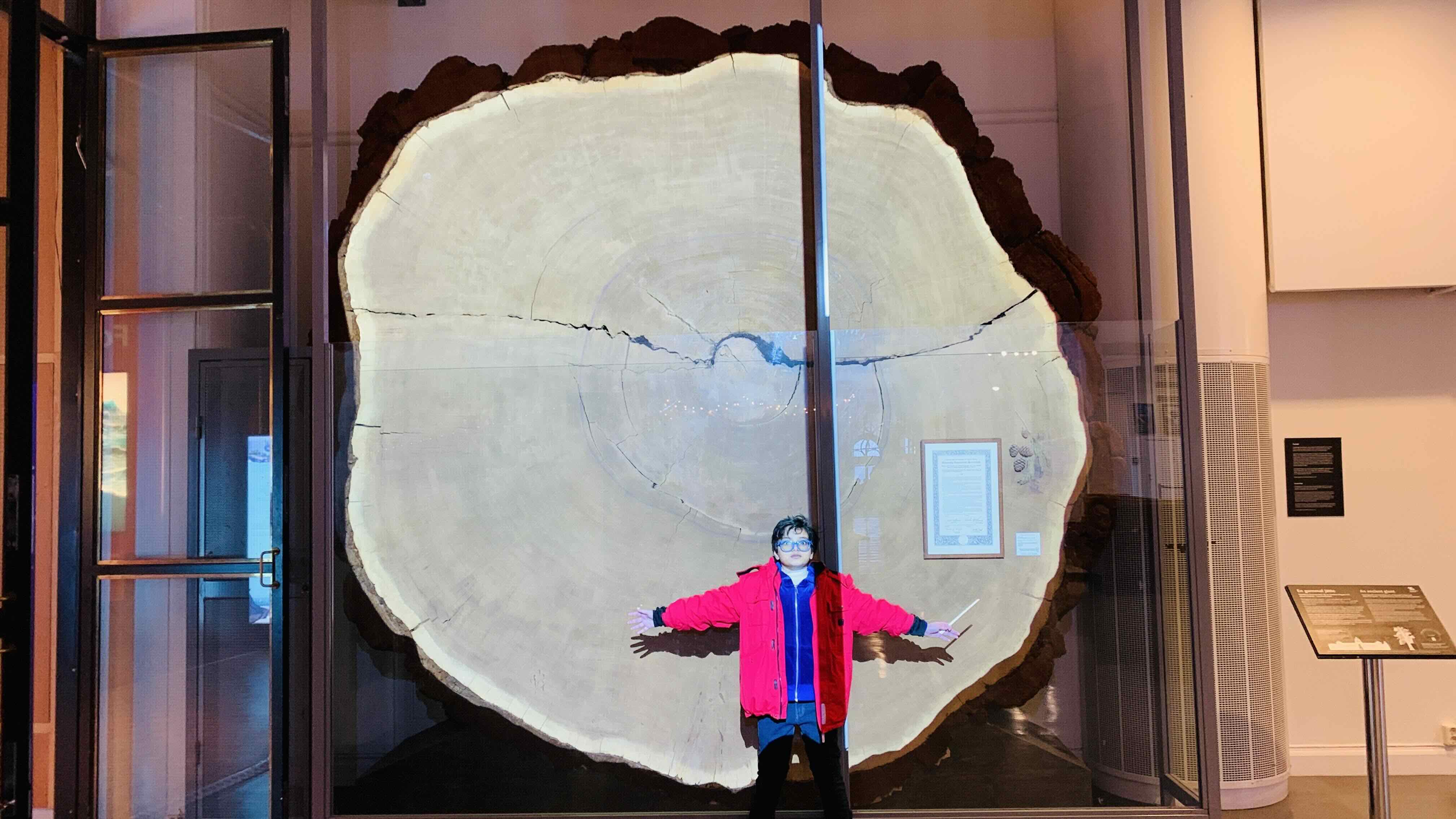 My Daughter in front of The Giant Sequoia