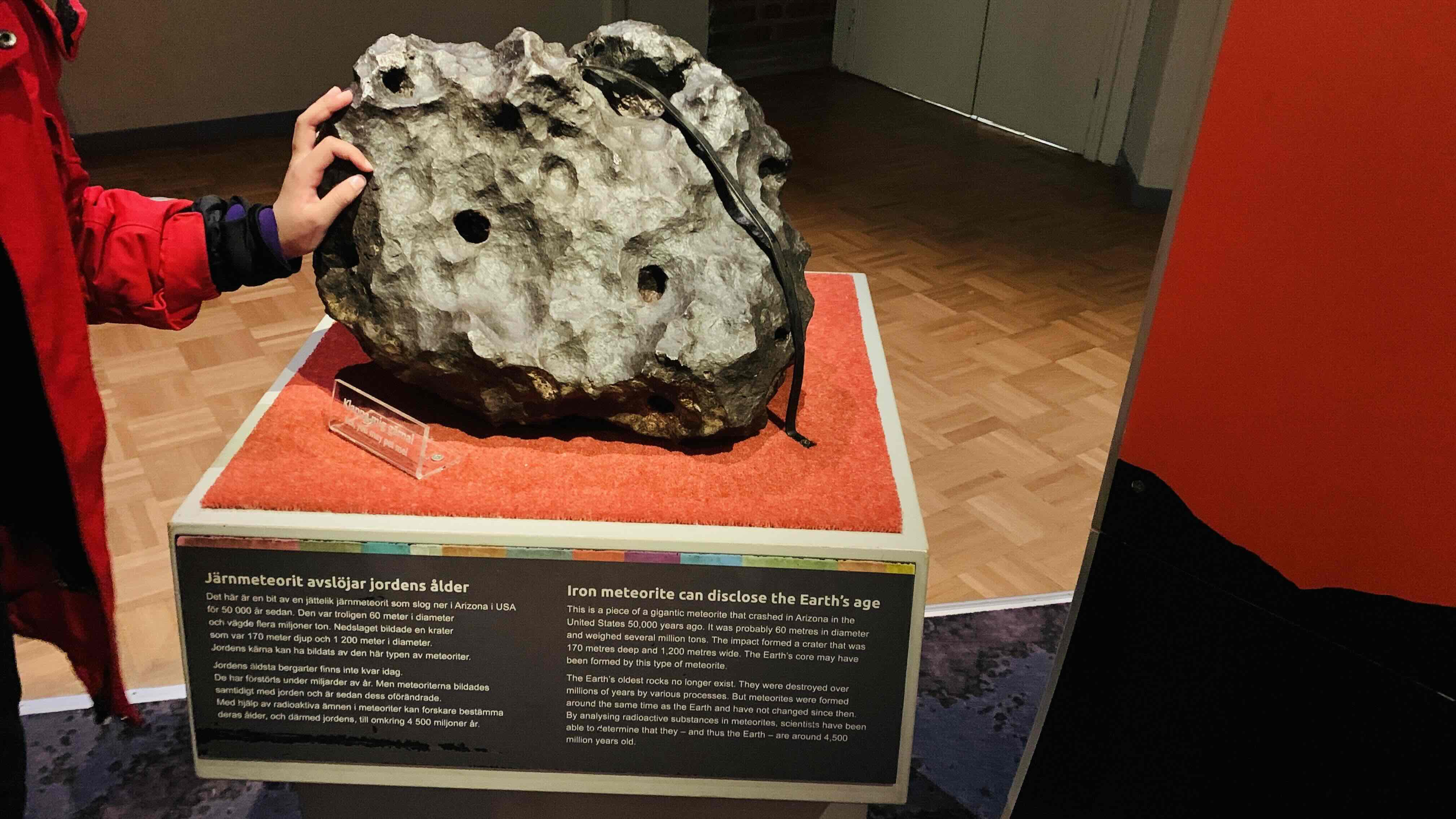 Iron meteorite