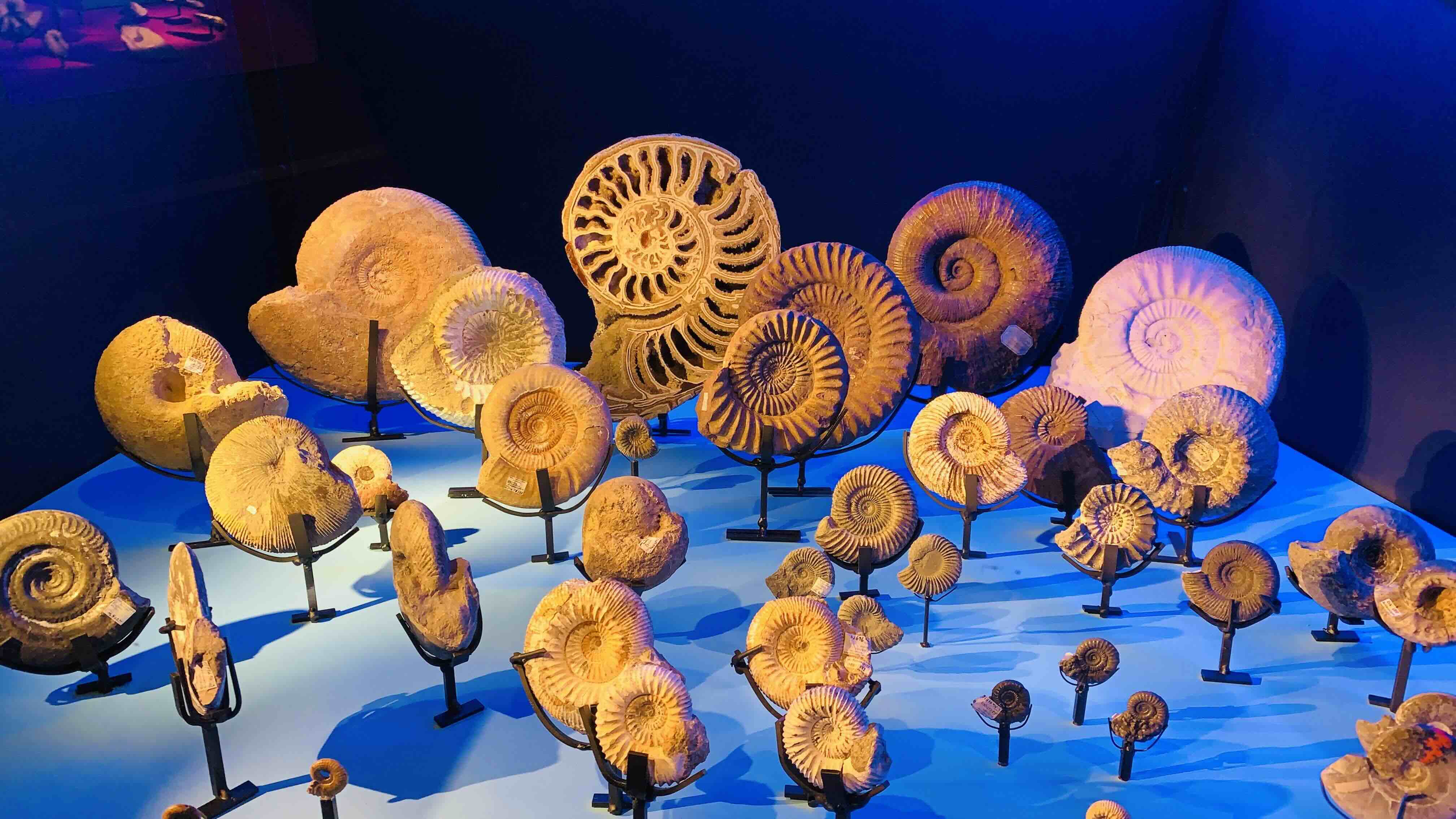 Cover image for "The Swedish Museum That Makes Kids Smarter and Adults Amazed"