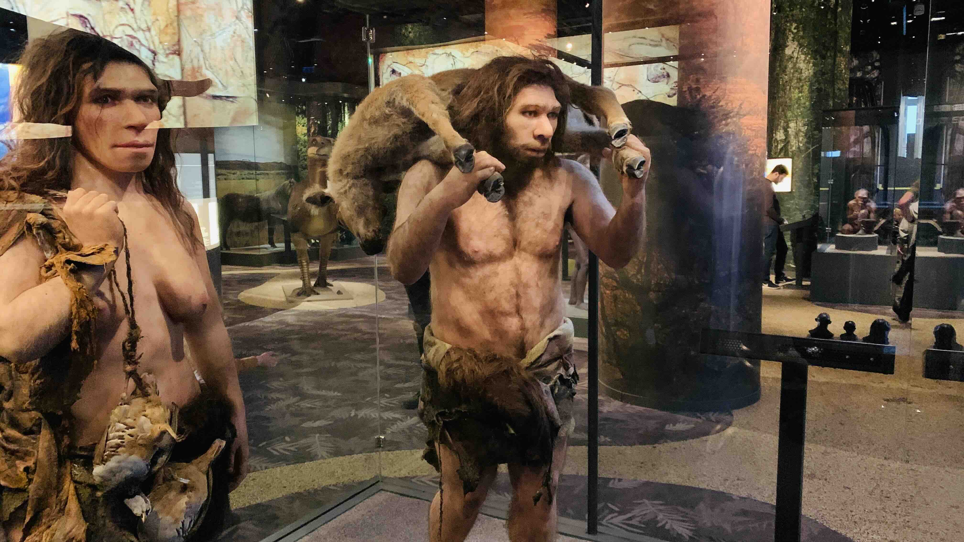 Neanderthals