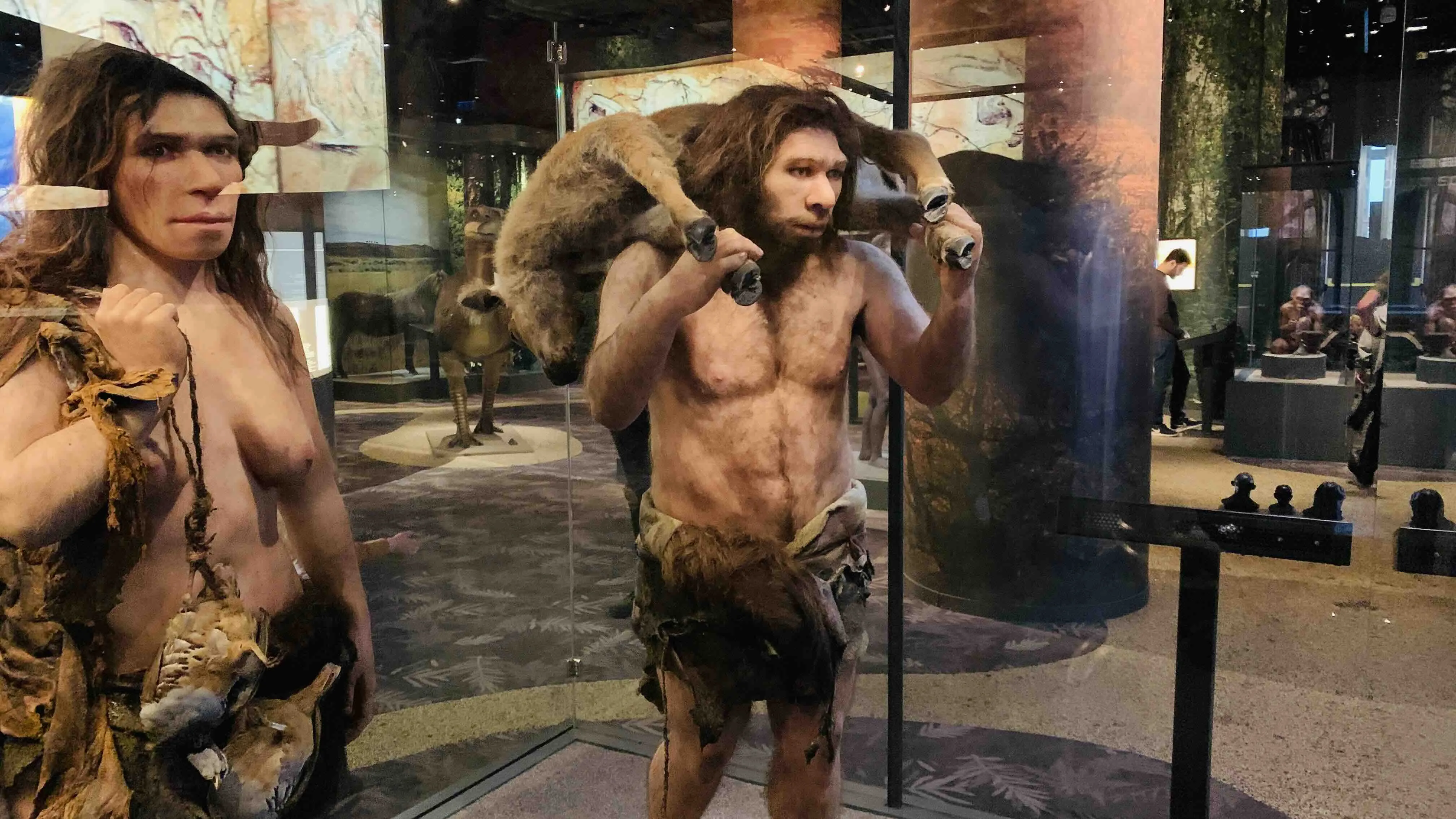 Neanderthals