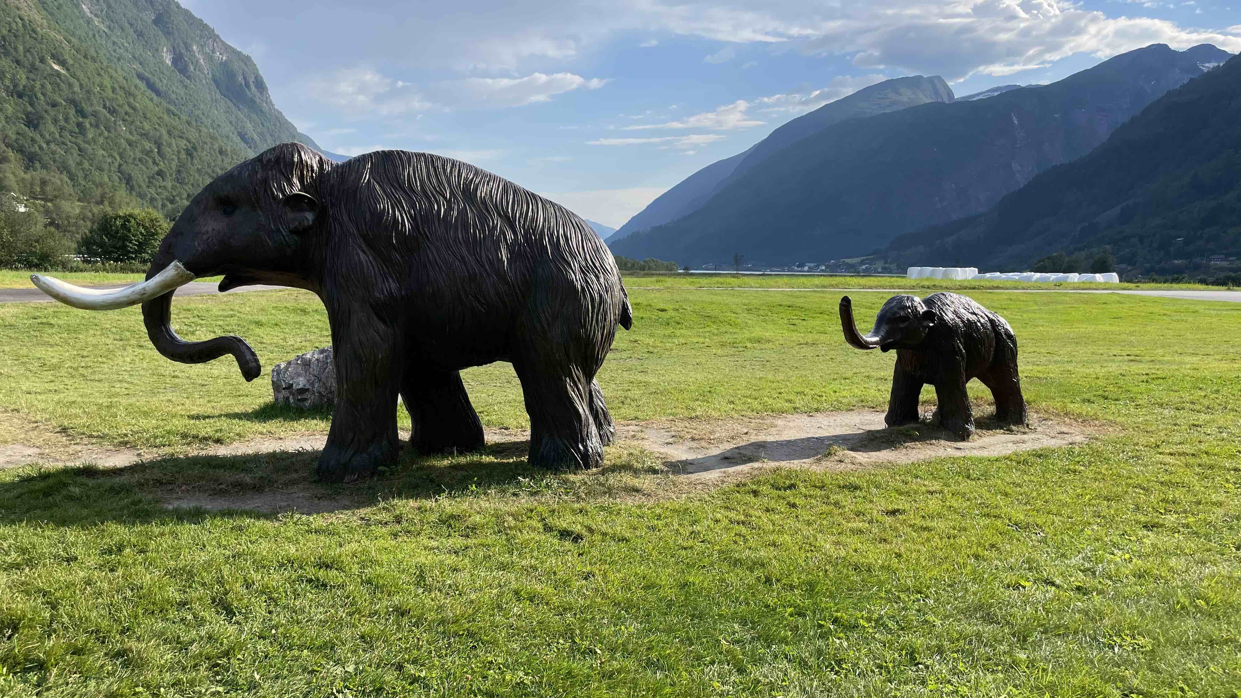 Mammoths!