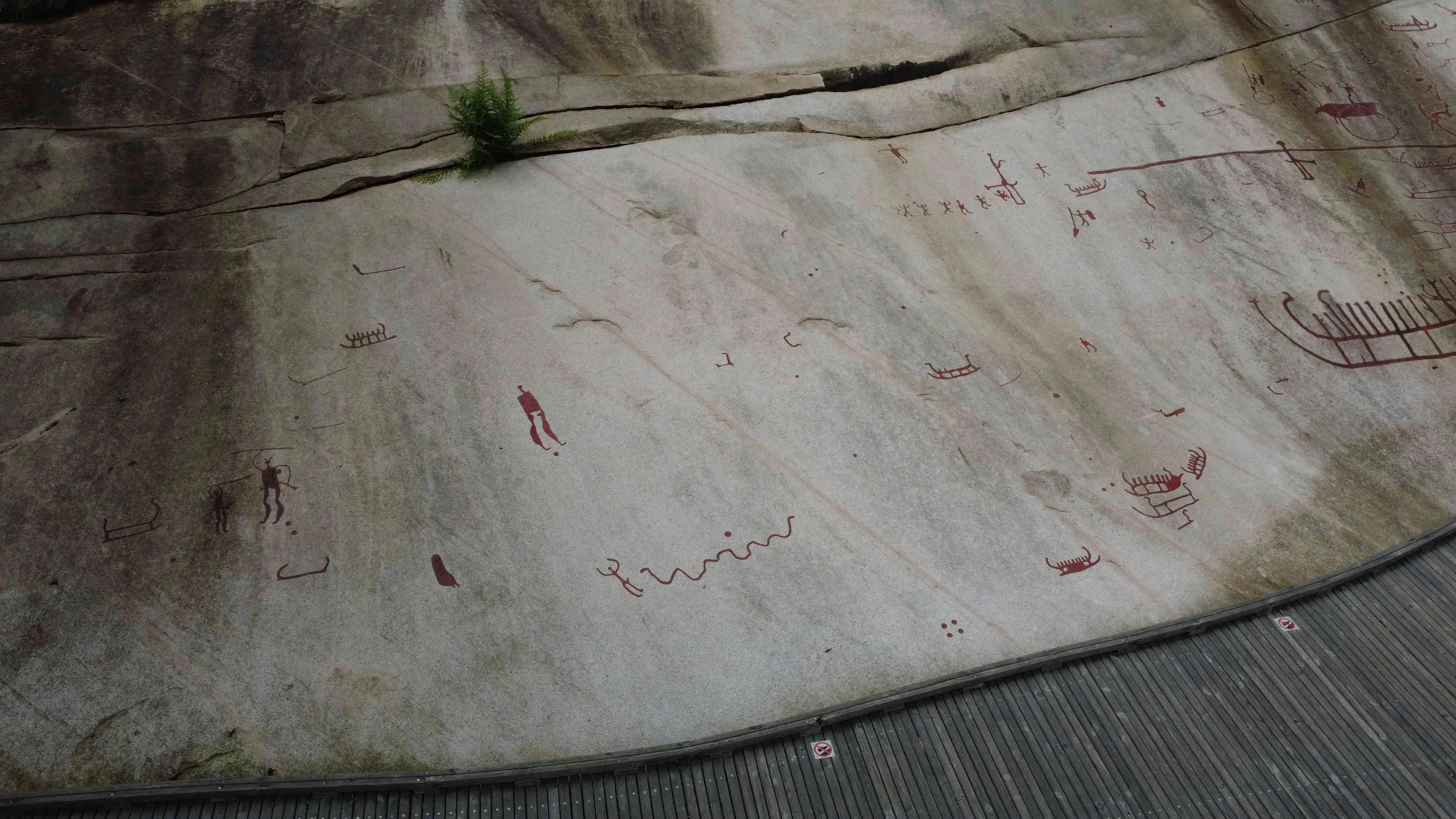 Tanum rock carvings