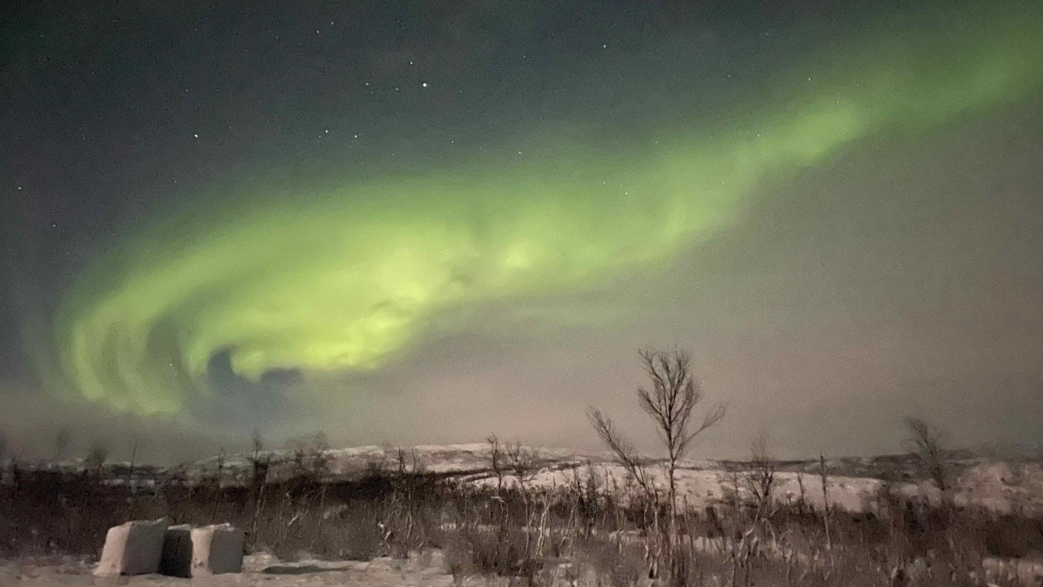 aurora