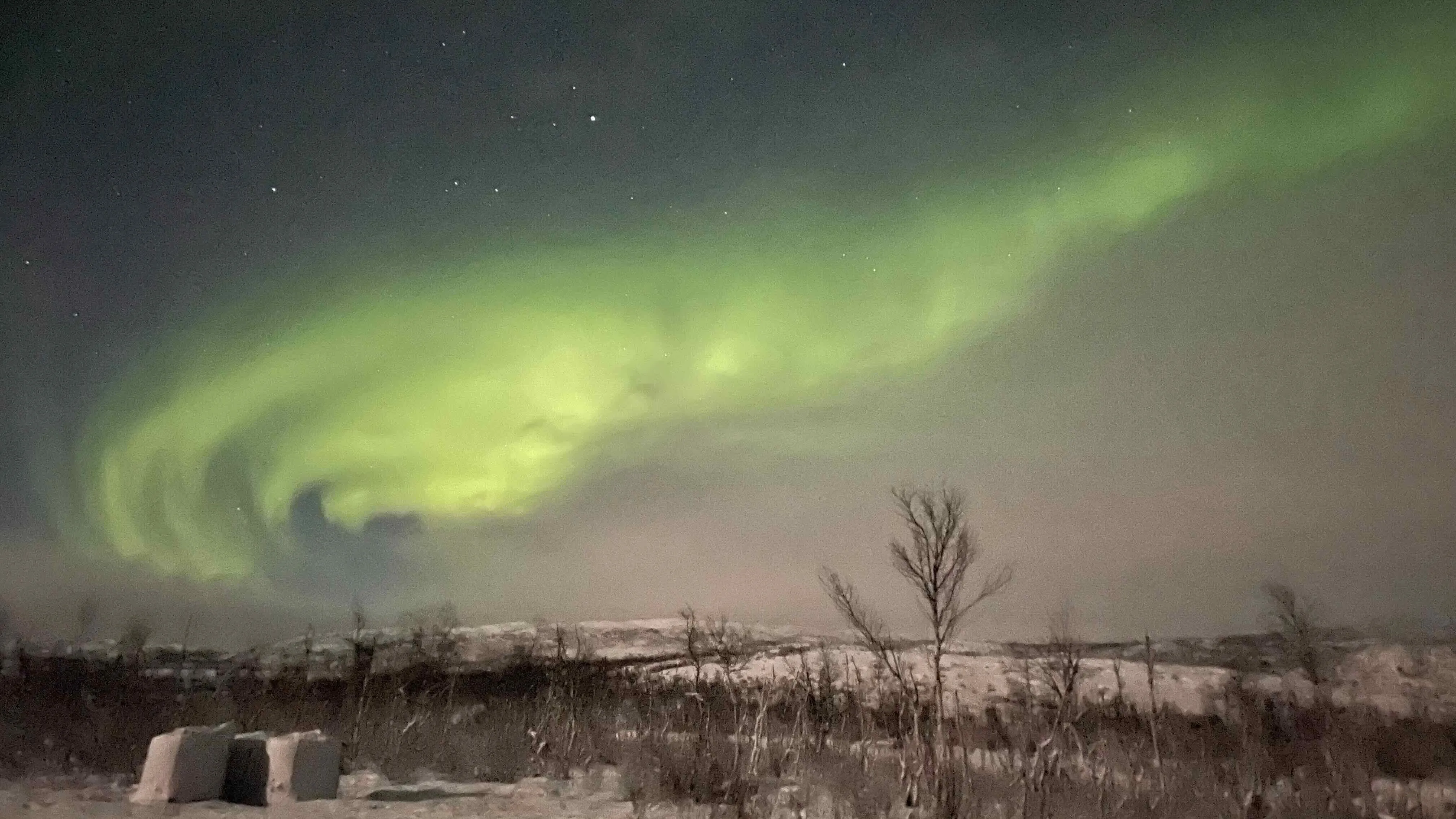 aurora
